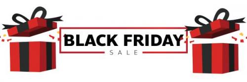 BLACK FRIDAY OFFER
